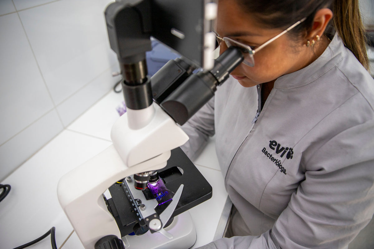 Laboratorio